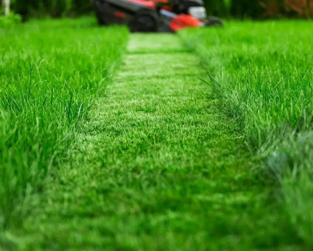 Property maintenance services